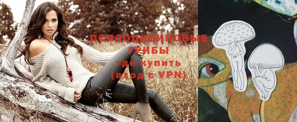 синтетический гашиш Алексеевка