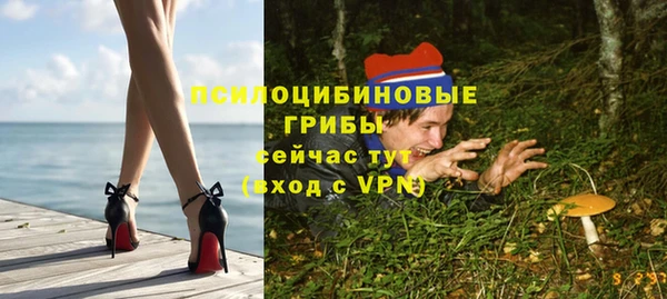синтетический гашиш Алексеевка