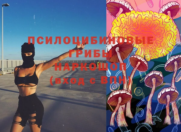 молекула духа Алзамай