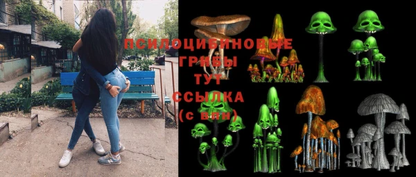 синтетический гашиш Алексеевка